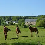 Nyaraló In With Sauna Cetturu