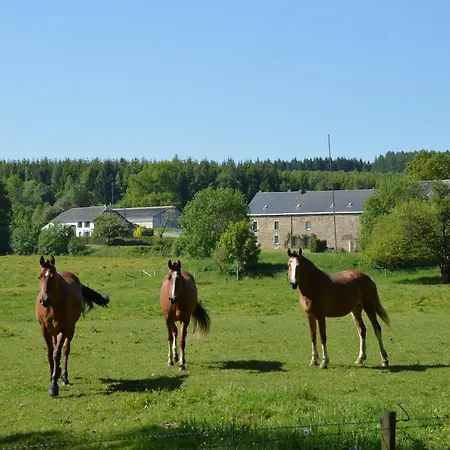 Feriehus In With Sauna Cetturu