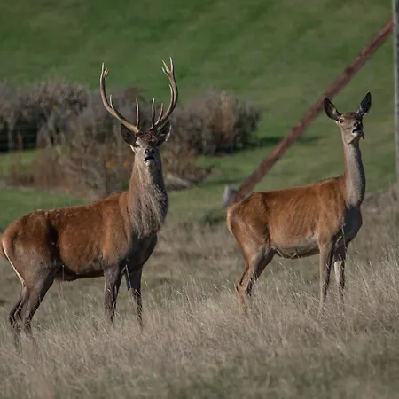 In With Sauna Cetturu