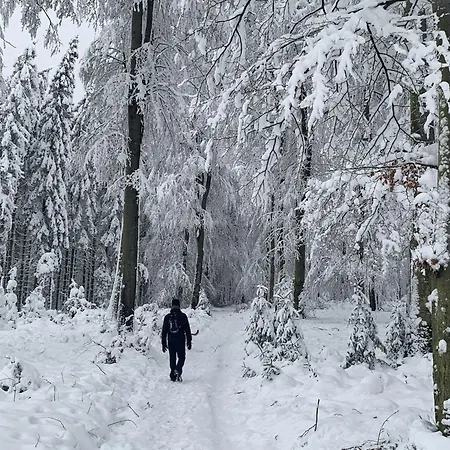 Feriehus In With Sauna *